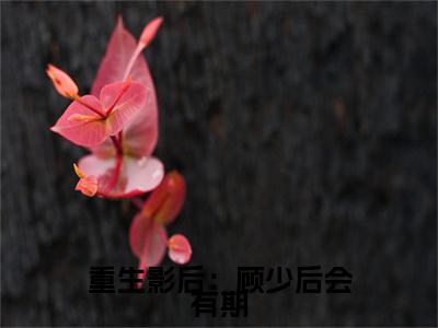 重生影后：顾少后会有期全文无弹窗阅读尹思影大结局全文免费