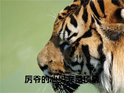 厉爷的心尖宠是顶级大佬（厉默寒洛凌）快手热推小说主角厉爷的心尖宠是顶级大佬完整版在线阅读