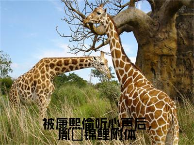 主角为胤礽的小说精彩阅读-被康熙偷听心声后，胤礽锦鲤附体最新章节阅读