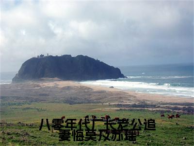 八零年代厂长老公追妻悔莫及苏瑶（苏瑶）最新免费阅读-八零年代厂长老公追妻悔莫及苏瑶小说在线阅读