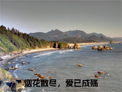 烟花散尽，爱已成殇最新章节，烟花散尽，爱已成殇今日热议小说完本阅读
