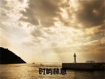 时屿林意（林意时屿）小说免费下载全本-时屿林意（林意时屿完整版）免费阅读无弹窗
