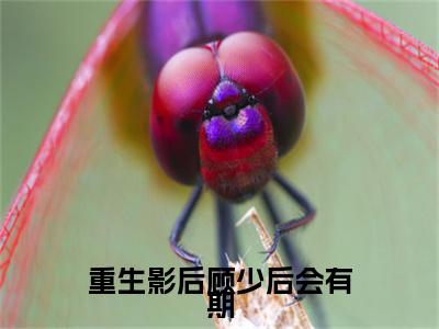 重生影后顾少后会有期正版小说最新章节在线阅读-小说尹思影重生影后顾少后会有期已完结全集大结局
