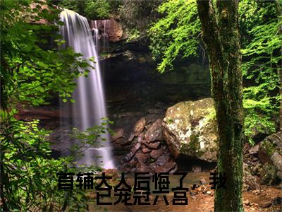 谢凌渊柳眠眠（首辅大人后悔了，我已宠冠六宫）在线阅读的小说完整版-首辅大人后悔了，我已宠冠六宫（谢凌渊柳眠眠）小说免费阅读