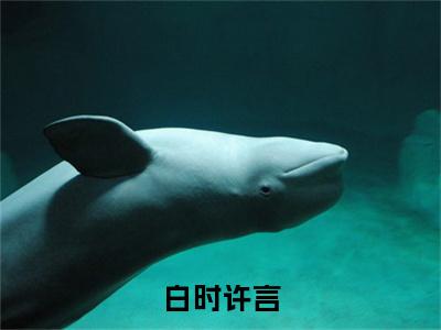 白时许言（许言白时）小说免费无弹窗大结局-白时许言小说全文完整版阅读