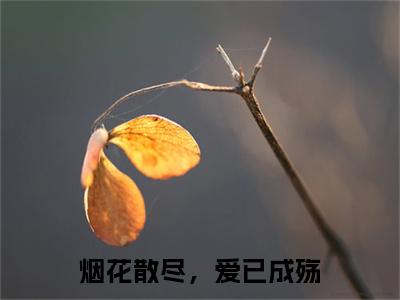 楚聿风小说在线阅读烟花散尽，爱已成殇无广告小说免费在线阅读
