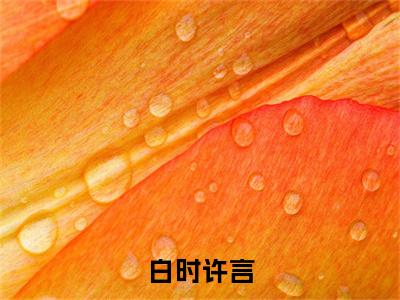 白时许言（许言白时）免费阅读完整版-（白时许言小说）许言白时全文大结局已完结