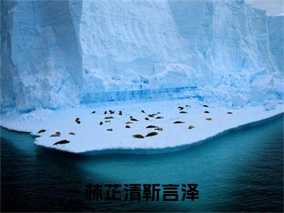 林芷清靳言泽（林芷清靳言泽）小说全文免费阅读_林芷清靳言泽最新章节小说免费阅读_笔趣阁林芷清靳言泽