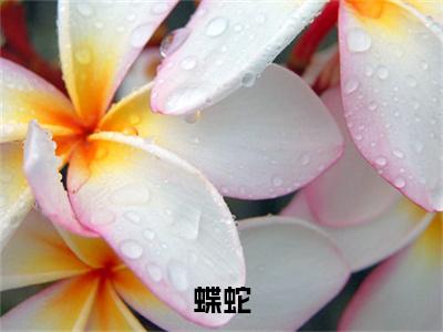 蝶蛇（周佳彭奕）全文免费阅读无弹窗_周佳彭奕最新小说_笔趣阁