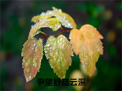 尹望舒陆云深全文免费阅读无弹窗-（尹望舒陆云深）尹望舒陆云深小说全文在线阅读笔趣阁