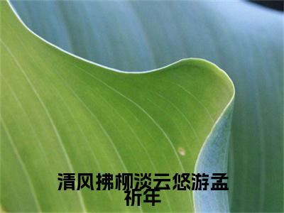 清风拂柳淡云悠游孟祈年（周晓晚孟祈年）全文免费阅读无弹窗大结局_清风拂柳淡云悠游孟祈年免费阅读无弹窗