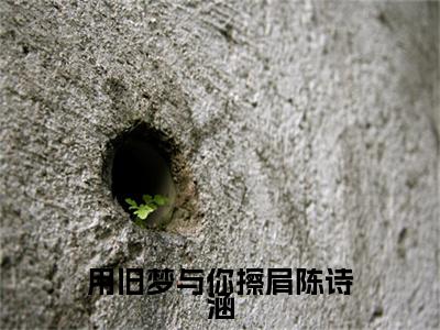 精选热门用旧梦与你擦肩陈诗涵全文无删减版在线阅读