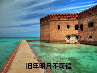 旧年明月不可追（方沐苒陆湛川）全文免费阅读-旧年明月不可追（方沐苒陆湛川）最新章节小说阅读