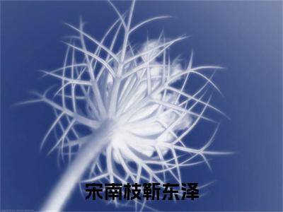 宋南枝靳东泽免费阅读-（宋南枝靳东泽）全文免费阅读无弹窗大结局（宋南枝靳东泽）最新章节列表_笔趣阁