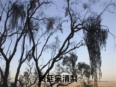 宋清梨贺延小说贺延宋清梨全文免费阅读无弹窗-正版小说（贺延宋清梨）宋清梨贺延全文阅读