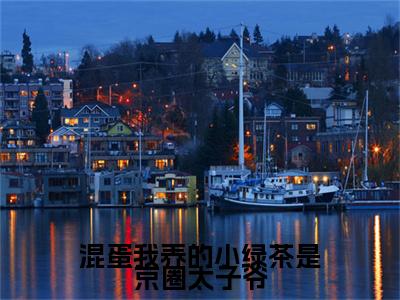小说（混蛋我养的小绿茶是京圈太子爷）陆战北沈南乔精选片段阅读-小说陆战北沈南乔免费版最新更新阅读