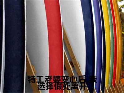 特工老婆变心后,我选择假死离开大结局全文免费阅读最新章节_许远舟江雪曦大结局