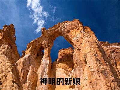 神明的新娘小说全文免费阅读正版许蓁蓁免费阅读无弹窗