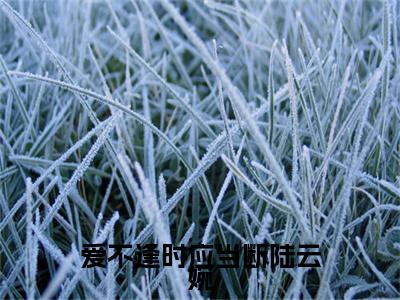 爱不逢时应当断陆云婉（陆云婉）全文免费阅读无弹窗大结局_（陆云婉）爱不逢时应当断陆云婉最新章节列表_笔趣阁
