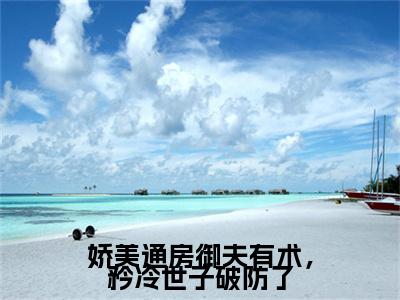 桃夭段时凌小说娇美通房御夫有术，矜冷世子破防了全章节阅读-主角为桃夭段时凌的小说叫什么娇美通房御夫有术，矜冷世子破防了