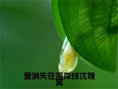粱楚舟沈晚棠（爱消失在海岸线沈晚棠）全网首发小说-小说爱消失在海岸线沈晚棠（粱楚舟沈晚棠）完整版全文在线赏析