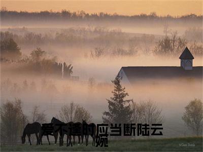 陆云婉（爱不逢时应当断陆云婉）全文免费阅读无弹窗大结局_（爱不逢时应当断陆云婉无弹窗）最新章节免费阅读_笔趣阁