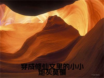 穿成修仙文里的小小炮灰莫懒（莫懒）全文免费阅读无弹窗大结局_穿成修仙文里的小小炮灰莫懒最新章节完整版阅读