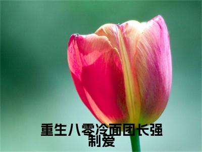 重生八零冷面团长强制爱（冯竹漪厉览泽）完结版小说-重生八零冷面团长强制爱小说全文免费阅读笔趣阁