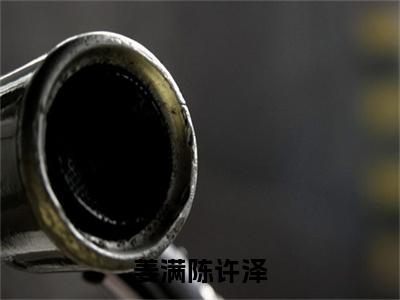 姜满陈许泽小说_陈许泽姜满全文阅读姜满陈许泽小说免费阅读笔趣阁
