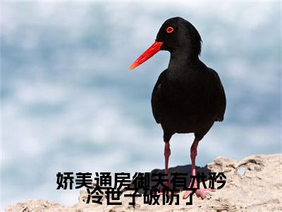娇美通房御夫有术矜冷世子破防了（桃夭段时凌）全文免费阅读无弹窗完整版，（娇美通房御夫有术矜冷世子破防了）免费阅读全文最新章节列表_笔趣阁