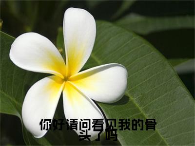 你好请问看见我的骨头了吗（阙昭黑煞）全文免费阅读无弹窗大结局_（你好请问看见我的骨头了吗）阙昭黑煞全文免费完结版阅读