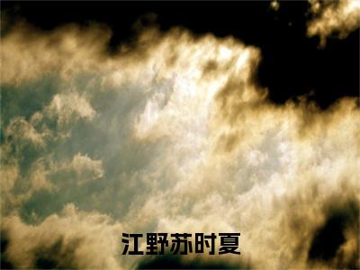 苏时夏江野（江野苏时夏）全文免费阅读无弹窗大结局_江野苏时夏最新章节列表_笔趣阁（苏时夏江野）