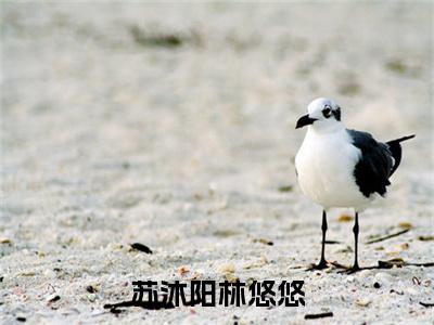 林悠悠苏沐阳（苏沐阳林悠悠全文小说）全文免费阅读无弹窗大结局_苏沐阳林悠悠全文免费阅读最新章节列表