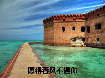 愿得春风不遇你（莫雨萱顾淮安）免费全文阅读小说_愿得春风不遇你免费在线阅读（莫雨萱顾淮安）小说最新章节列表