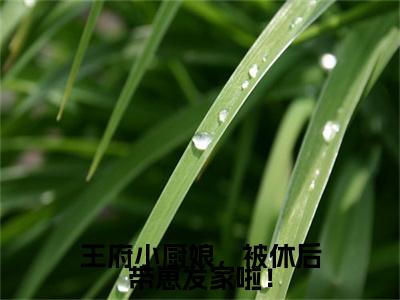 梁清云傅盛江全文免费阅读_梁清云傅盛江（王府小厨娘，被休后带崽发家啦！）最新章节列表笔趣阁