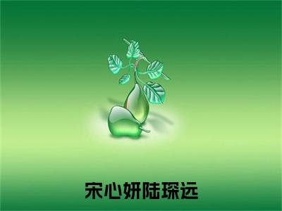 宋心妍陆琛远（陆琛远宋心妍）全文免费阅读无弹窗大结局_宋心妍陆琛远最新章节列表（陆琛远宋心妍）