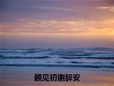 顾见初谢辞安小说全文免费阅读_顾见初谢辞安（顾见初谢辞安）最新章节列表在线阅读