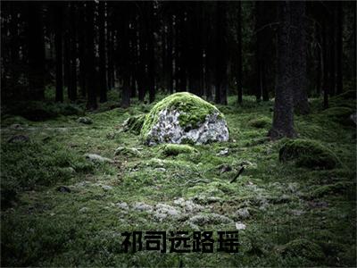 祁司远路瑶（路瑶祁司远）精彩热门小说_（祁司远路瑶）路瑶祁司远最新章节列表_笔趣阁