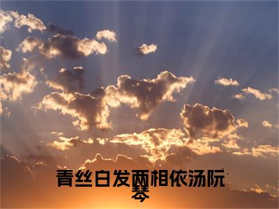 青丝白发两相依汤阮琴（汤阮琴）全文免费完结版阅读_（汤阮琴）青丝白发两相依汤阮琴最新章节列表笔趣阁