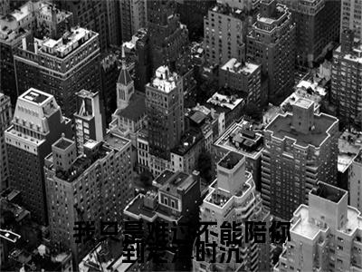 我只是难过不能陪你到老薄时沉免费小说-我只是难过不能陪你到老薄时沉完结版在线阅读
