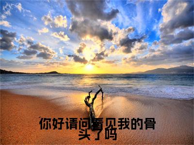 你好请问看见我的骨头了吗全文免费在线阅读_（阙昭黑煞免费阅读无弹窗）你好请问看见我的骨头了吗全文免费完结版阅读