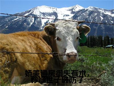 桃夭段时凌全文免费阅读大结局-娇美通房御夫有术，矜冷世子破防了完整版无弹窗