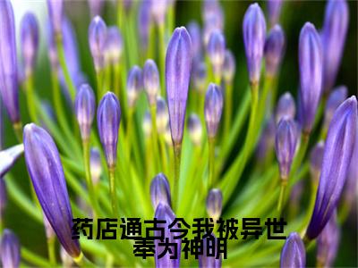 药店通古今我被异世奉为神明（谢姝云小说）在线阅读全文-谢姝云小说免费阅读完结版全文