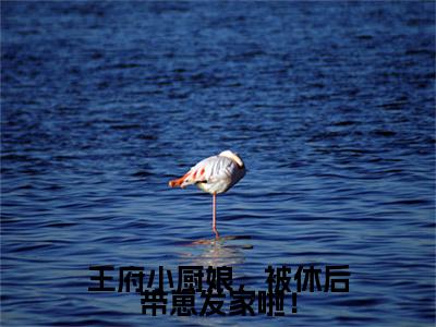 梁清云傅盛江（梁清云傅盛江）全文免费阅读无弹窗_王府小厨娘，被休后带崽发家啦！全文免费阅读最新章节大结局
