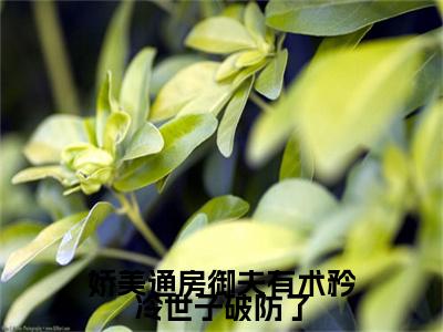 娇美通房御夫有术矜冷世子破防了老书虫书荒推荐热点小说-娇美通房御夫有术矜冷世子破防了桃夭段时凌全文免费阅读