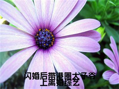 （全文）+（番外）姜婳小说免费阅读-闪婚后带港圈太子爷上离婚综艺姜婳小说在哪里可以看
