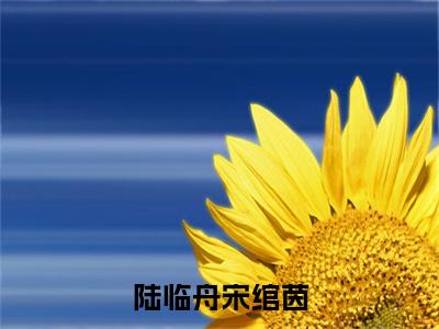 宋绾茵陆临舟（陆临舟宋绾茵）最新热门小说榜单推荐-宋绾茵陆临舟最新章节免费阅读