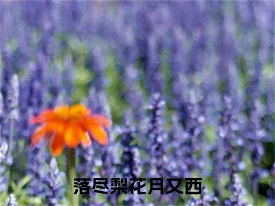 季阮小说（落尽梨花月又西）全文免费阅读无弹窗大结局_季阮小说最新章节列表