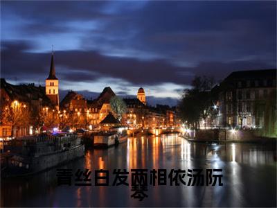 汤阮琴全文阅读-青丝白发两相依汤阮琴小说免费阅读-笔趣阁