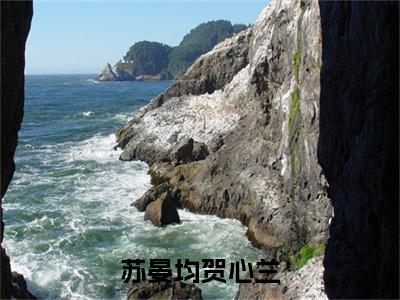 苏晏均贺心兰（贺心兰苏晏均）全文免费阅读无弹窗_（贺心兰苏晏均的小说全文免费阅读）苏晏均贺心兰小说最新章节列表无删减